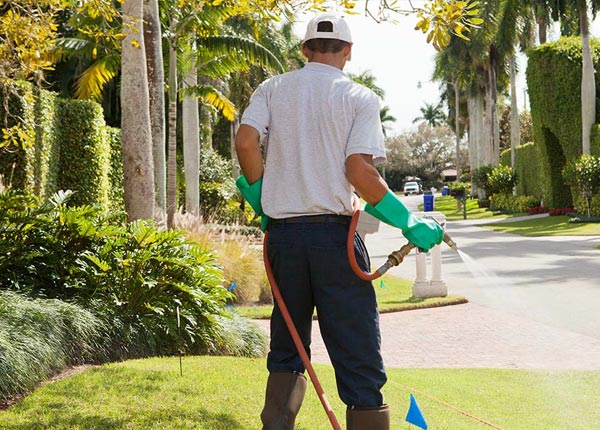 About Princeton KS Pest Control